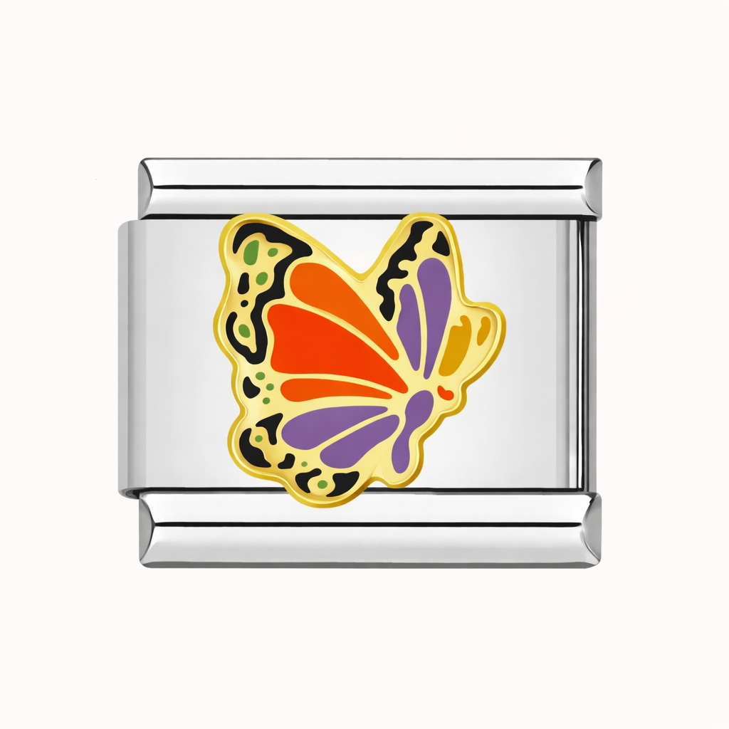 Colorful Butterfly 🦋