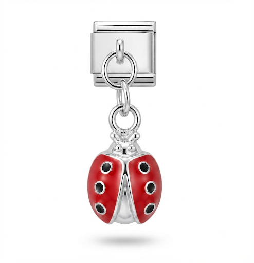 Coccinelle Rouge 🐞